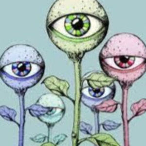 Meet your Posher, Kate